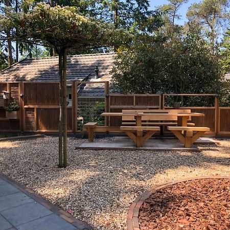 Veluwe Vakantiehuis - Bosuil Lodge Lunteren Exterior foto